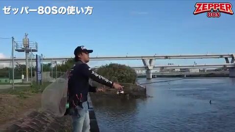 楽天市場】【 期間限定エントリーでP10倍 】ブルーブルー