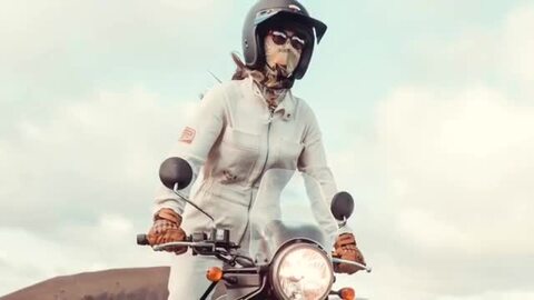 オーバーオール ワイルダスト アビエーター オーバーオール バイク ウェア トップス Wildust AVIATOR OVERALL  Motorimoda