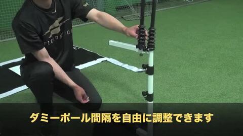 楽天市場】野球 練習 スウィングパートナー・レベル スイング