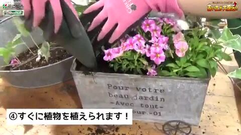 花ごころ 土壌改良材 古い土のリサイクル材 0.5L 土壌改良 再生土 有機質配合 再生材 土作り 鉢植え 家庭用 園芸 ガーデニング  Ｓ．Ｓ．Ｎ