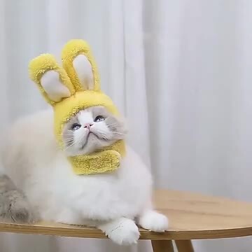 うさぎ猫さま＊確認ページです maxresdefault.jpg