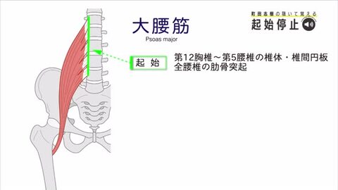 楽天ブックス: 町田志樹の聴いて覚える起始停止 - 町田志樹 - 9784895906593 : 本