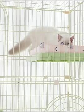 楽天市場】ねこケージ 大型 猫 ケージ 大型 人入れる 猫 ケージ