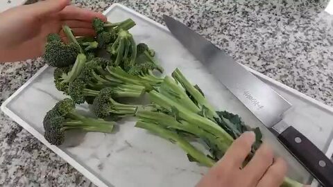 楽天市場】ブロッコリー 夢のブランチ 新品種 コート 1000粒
