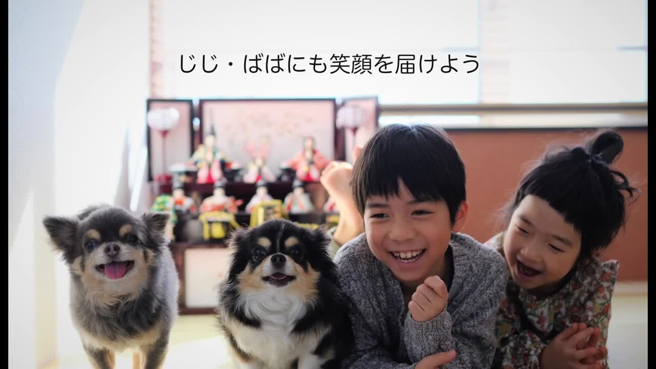 フジカラープリント 2Lサイズ 印刷物 学習プリント 2L