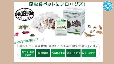 楽天市場】鳥さんの食事 昆虫食サポート ミルワームソフト ３０ｇ