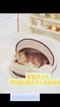 楽天市場】ペットベッド 猫 ベッド 2way 天井取外し可能 冬 小型