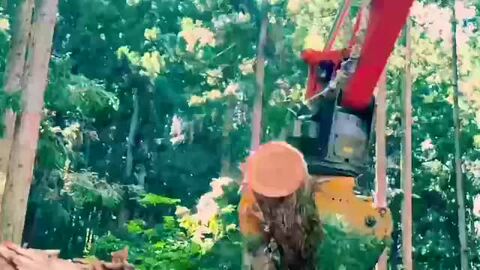 楽天市場】【ふるさと納税】 金山町産 乾燥楢薪 100kg（20kg×5箱