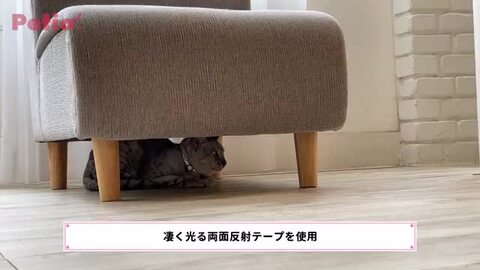猫用首輪 フラッシュソフトキャットカラー ピンク | ペティオ