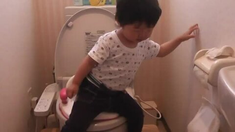 ホワイト お家のトイレが幼児用トイレに大変身！置くだけ簡単 トイレトレーニング 踏み台 ２ＷＡＹタイプ トイレ 踏み台 子供 踏みW台 木製  トイレの踏み台 蓋付き 手づくり工房かくれんぼ