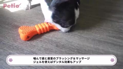 犬用おもちゃ TREATS LOVER トリーツラバー ボール S | ペティオ