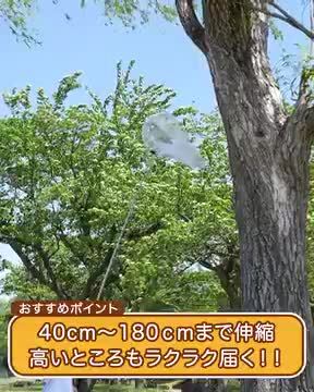 楽天市場】虫取り網 伸縮式 直径約28cm 長さ150cm 虫網 柄が