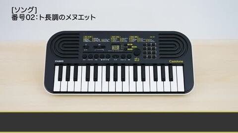 楽天市場】カシオ ミニキーボード 楽器 32鍵盤 はじめての鍵盤
