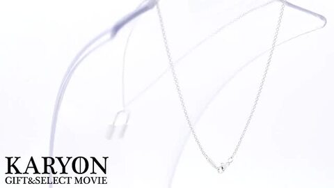 ティファニー バッグ カデナ クラスプ チャーム ペンダント jj8e 楽天市場】【ギフト品質】ティファニー Tiffany&co ネックレス