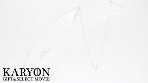 美品 ティファニー ブローチ 星座 ゾディアック シルバー925 楽天市場】ティファニー Tiffany & Co. ネックレス ゾディアック