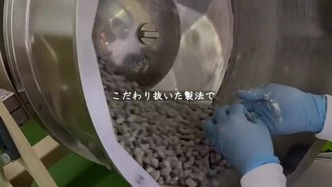 ミニタイプ 北海道産牛乳とくるみの美味しいお菓子 おちちくるみ 35g お菓子 おかし ナッツ スイーツ クルミ プレゼント ギフト お土産  手土産 お取り寄せグルメ ミルク 胡桃 ホワイトデー バレンタイン 生乳100％ 小袋 母の味 くるみ 食品 食べ物 お礼 函館 ...