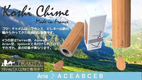 楽天市場】【送料無料】 コシ チャイム 全4種類の音色おまとめコンプリートセット Koshi Chime (ヒーリング風鈴) / コシチャイム  〔正規品〕 楽器 癒やし エナジーチャイム 民族楽器 ヨガ 瞑想 マインドフルネス オラクル ハンガーチャイム インド楽器 エスニック楽器 ...