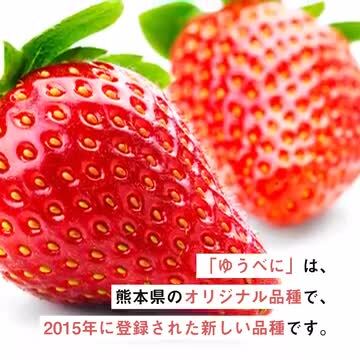 楽天市場】【ふるさと納税】【数量限定】ゆうべに 約500g（約255g×2