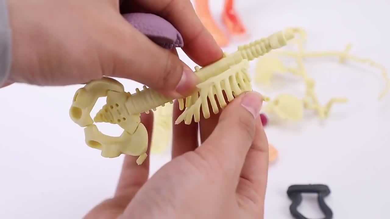 楽天市場】【新商品ポイントup】人体模型おもちゃ 取り外し お得