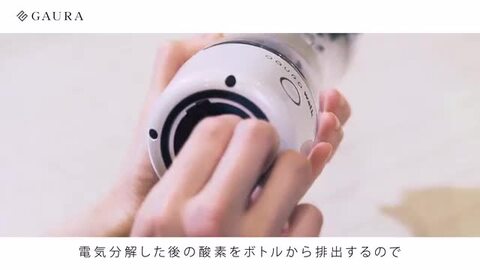 楽天市場】交換用カートリッジ（ニューガウラウォーク専用）NEW