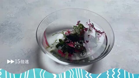 海藻セットとジュズフサノリ（小） 海藻セットとジュズフサノリ（小） 国産海藻サラダ 乾燥50g