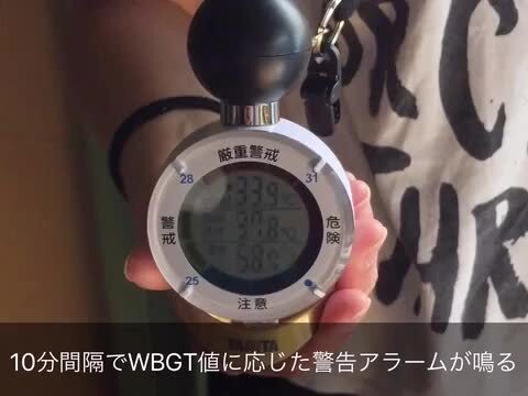 タニタ　熱中アラームTT-562GD 新品未使用品 楽天市場】タニタ TT-562-NGD 黒球式熱中症指数計 熱中アラーム