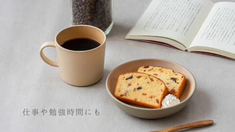 楽天市場】弁当箱 抗菌加工 メンズ レディース 大人 北欧 アース