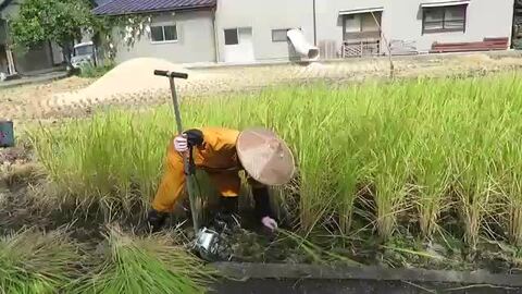 稲刈りの強い味方！ 美品！かりとりくん 使用回数1回のみ！ 薄けれ
