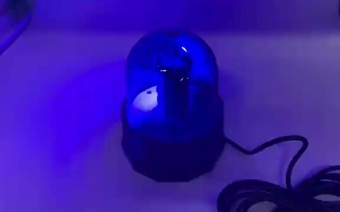 ブルー専用ページ 61t8tPK+qmL._AC_SY200_QL15_.jpg