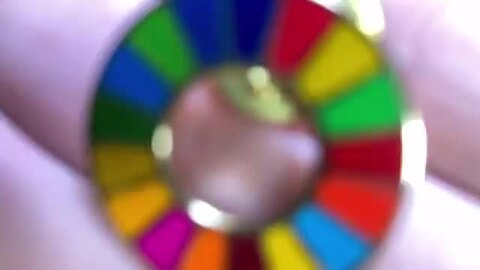 楽天市場】【国連本部公式最新仕様/インボイス制度対応】1個