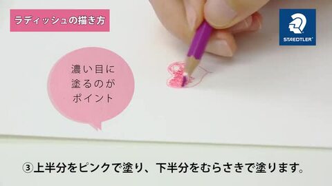 楽天市場】水彩色鉛筆36色セット 丸筆1本付き 紙箱入り 14410ND36P