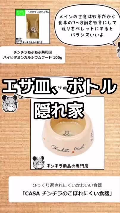 楽天市場】【スーパーSALE特別価格】【新商品】チンチラの飼育
