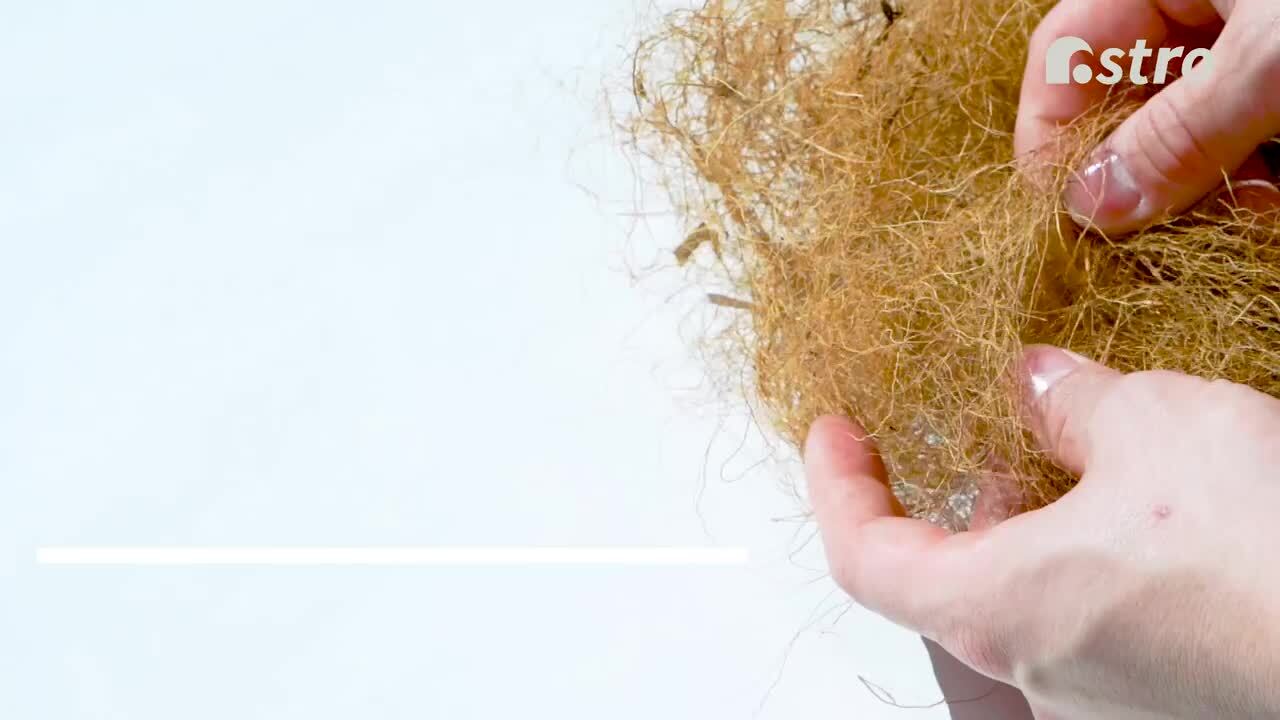 u*b様 ココスヤシ　鉢下から100㎝ぐらい Amazon | アストロ ココヤシファイバー 約100g ココファイバー