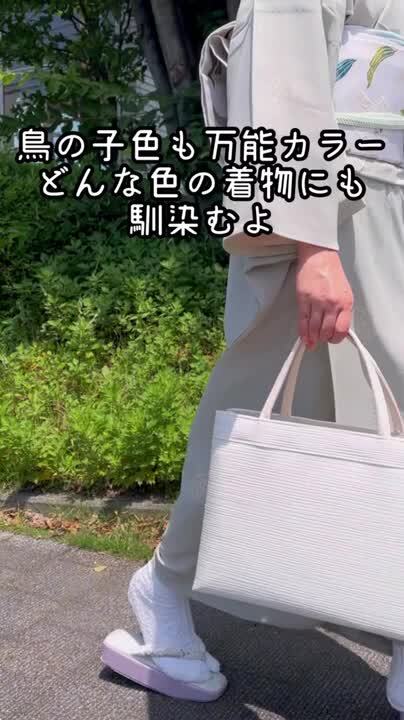 楽天市場】【7/18-☆10%OFFクーポン】トートバッグ 正絹 A4 絹地