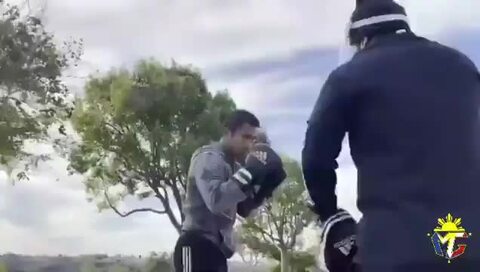 adidas パンチングミット 黒 adidas ボクシング パンチングミット アディダス ダイエット