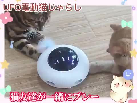 猫のおもちゃ Amazon.co.jp: 猫おもちゃ 電動 自動 猫じゃらし 猫ちゃん走り