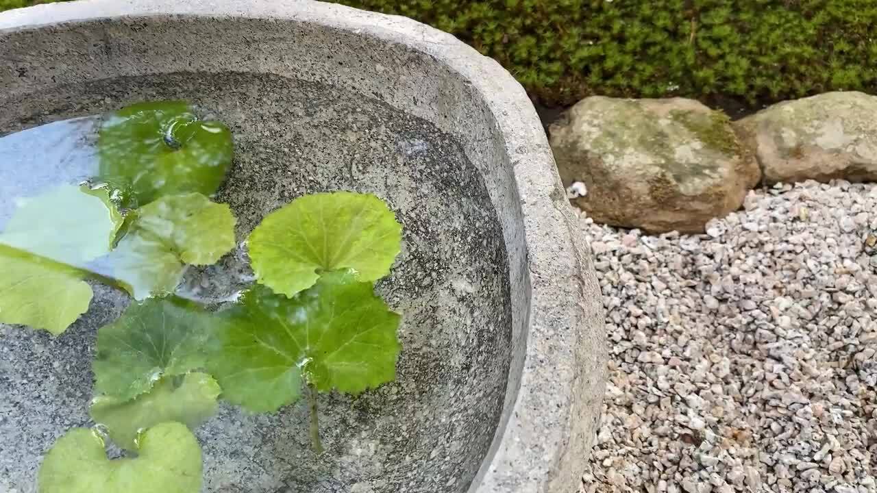 希少品蓮華台見立て水鉢】オブジェ庭石置物箱庭テラス屋上庭園坪庭造園