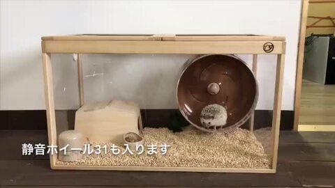 楽天市場】はりねずみんみん共和国 オリジナルケージ04 超軽量アクリル