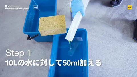楽天市場】【 日本正規品 】 KochChemie コッホケミー コケミ