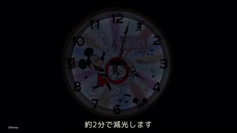楽天市場】ディズニー 100周年 限定 モデル Disney 100th