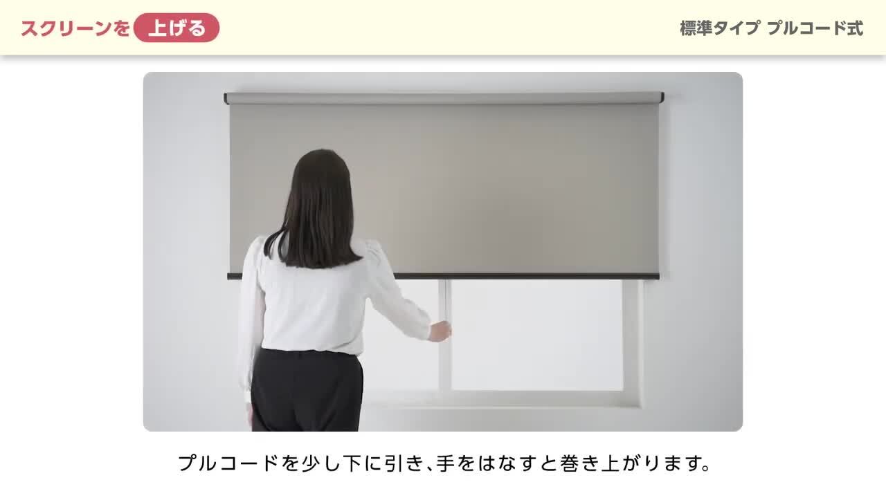 楽天市場】ロールスクリーン オーダー ニチベイ ソフィ 防炎 アエル 