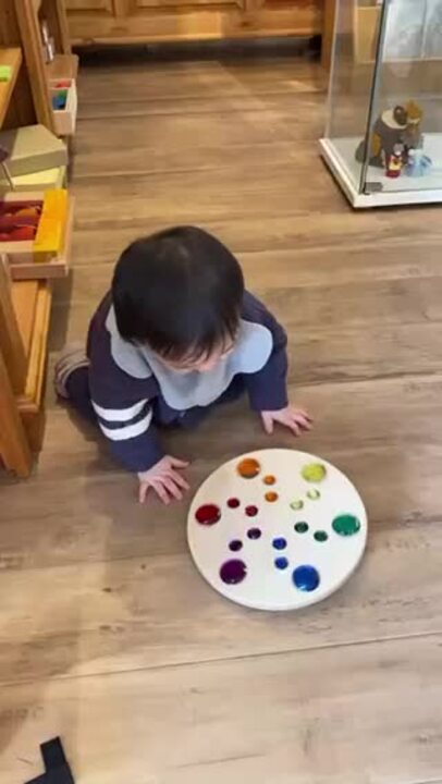 楽天市場】デュシマ ジュエルこま 白木 : おもちゃの国 オズ