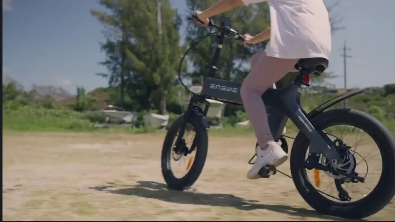 電動アシスト自転車折りたたみ式　ENGWE 新品未開封 電動アシスト自転車 ENGWE エングウェイ 折り畳み e-bike C20pro