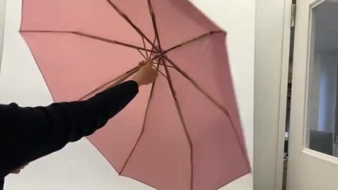 楽天市場】再入荷 Guy de Jean ギ・ド・ジャン 折りたたみ傘 晴雨兼用 