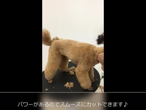楽天市場】犬 バリカン WAHL ウォール プロペットバリカンコード 楽天市場】犬 バリカン WAHL ウォール プロペットバリカンコード