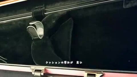 楽天市場】バイオリンケース 大人ピンク 防水 4/4サイズ