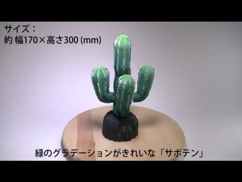 楽天市場】ウッドカービング カクタス (300mm) (サボテン