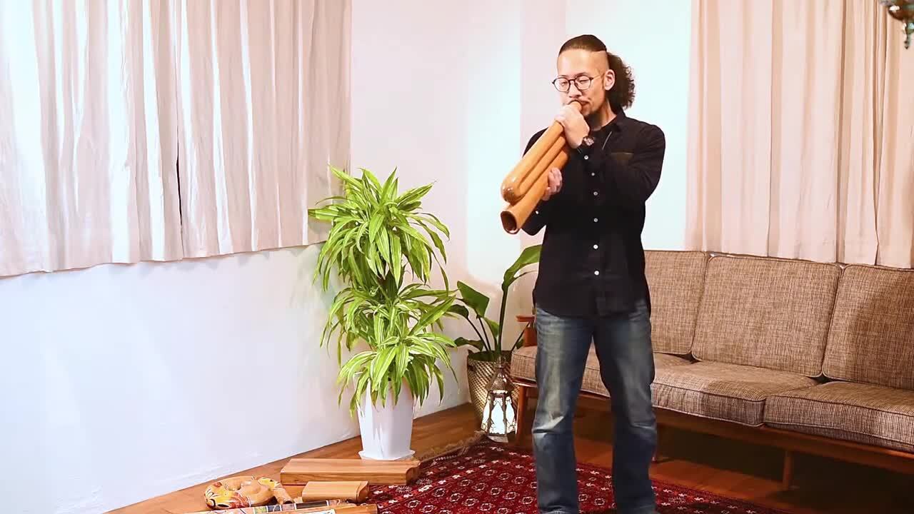 楽天市場】【送料無料】 コンパクト ディジュリドゥ【木目 茶 艶有