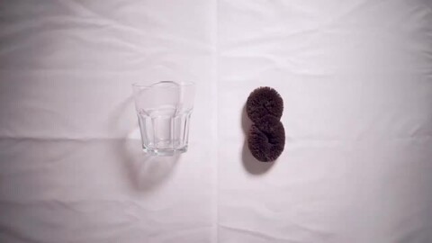 【たわし断捨離中】 交換式ナイロンタワシ 超荒目 ＃60 の通販 | ホームセンター