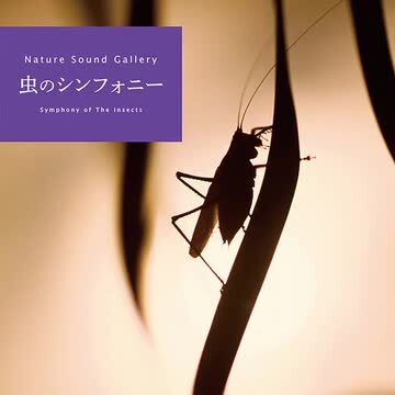 効果音集 （虫の鳴き声） 虫 - 効果音一覧｜無料効果音素材配信：エスフェクツ